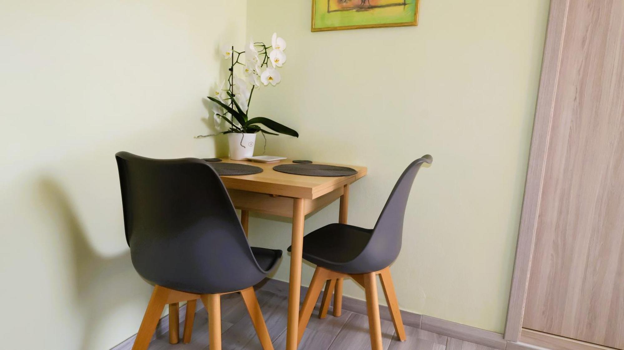 שטיניאן Apartment Zdravko מראה חיצוני תמונה